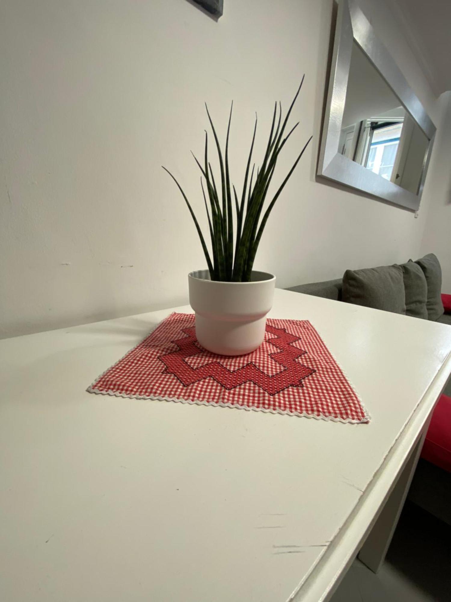Apartamento Charm Of Ii *
